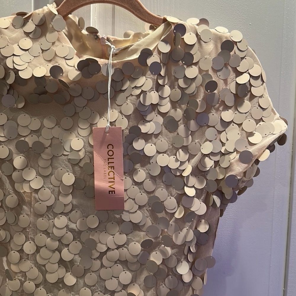 NWT | Collective the Label Disc Sequin Champagne Mini Dress - Picture 10 of 10
